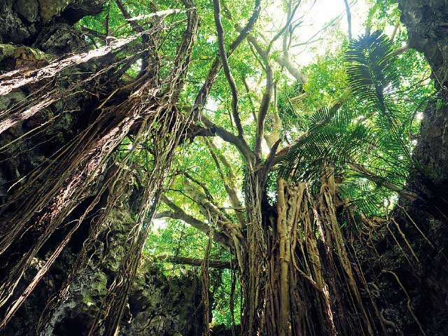 沖縄で1人旅を楽しもう!1人で訪れたいおすすめスポット20選