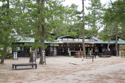 天橋立ビューランド側で食べたいご当地ランチ:はしだて茶屋の「あさり丼」