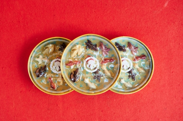 アートアクアリウム美術館のお土産