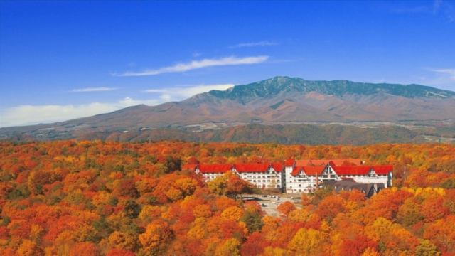 高原の大自然に包まれる赤ちゃん連れ旅行でおすすめの宿「ホテルグリーンプラザ軽井沢」