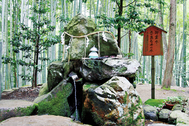 天橋立 パワースポット3社参り①:眞名井神社(まないじんじゃ)