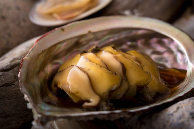 食材の本質を見抜いた麗しい創作料理