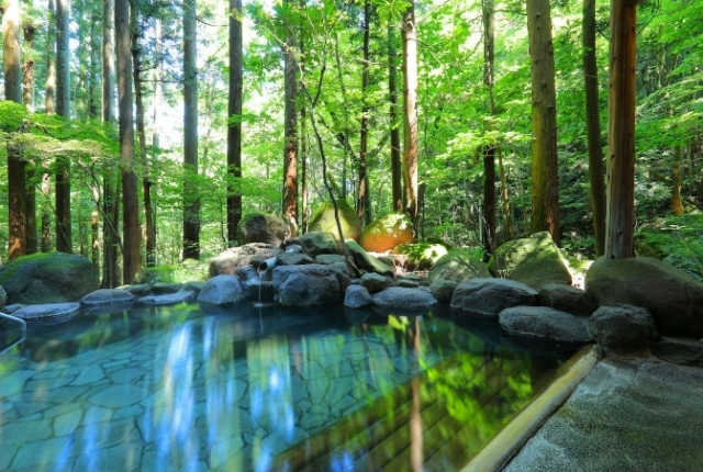 1400年の歴史をもつ名湯をかけ流し貸切風呂で