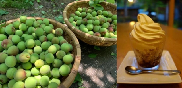 里山によく似合う閑静なたたずまい