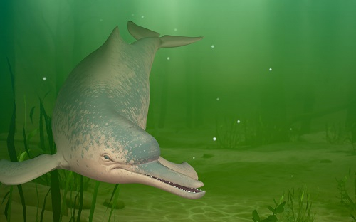 ZUKAN MUSEUM GINZAのゾーン① アンダーウォーターゾーン