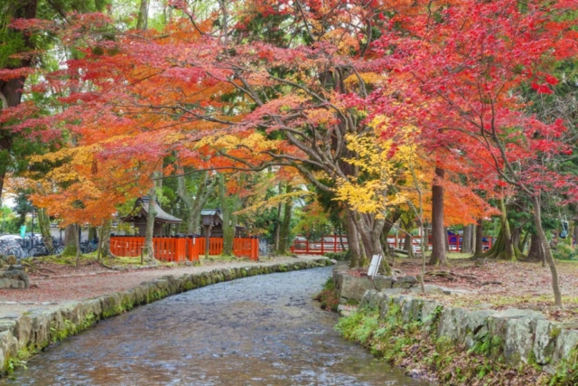 上賀茂神社 ~京都府南部・山城国の一宮~〈京都市北区〉