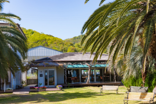 【向島のおすすめランチ】立花食堂