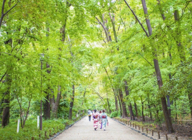 下鴨神社 ~京都府南部・山城国の一宮~〈京都市左京区〉