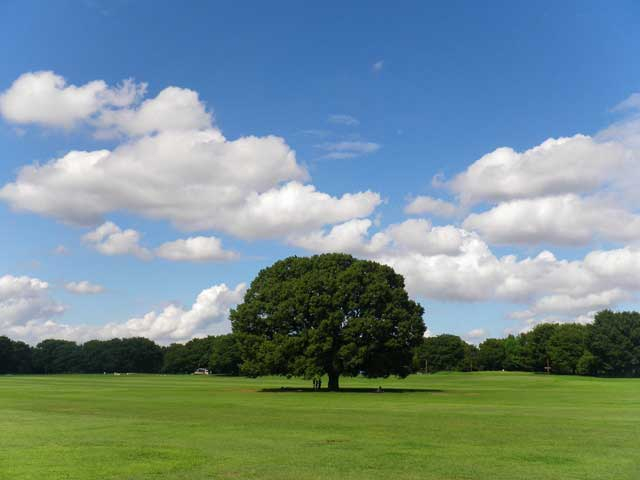 【東京】おすすめの日帰りおでかけスポット20選