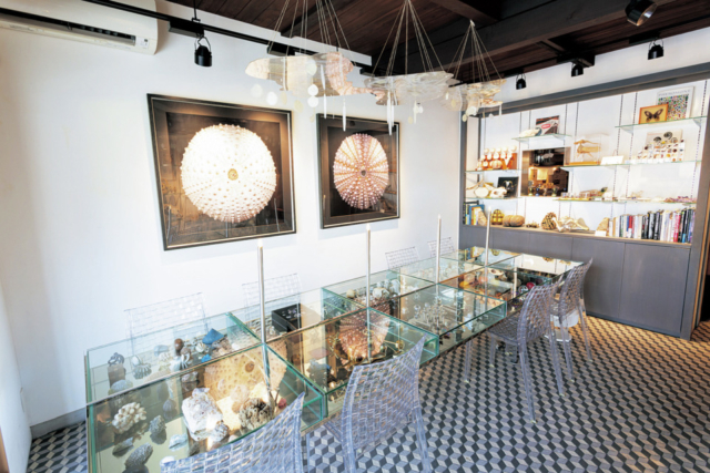 京都文化の新展開:べっぴんスイーツ① ウサギノネドコ京都店