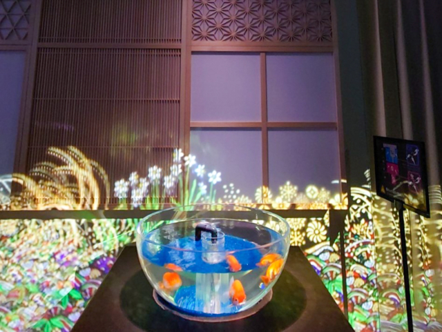 【AQUARIUM】MIYABI 和と灯の間