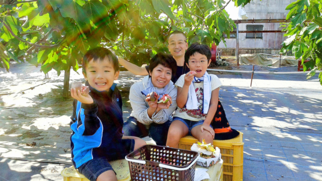 【向島のおすすめ観光スポット】海辺のいちじく園