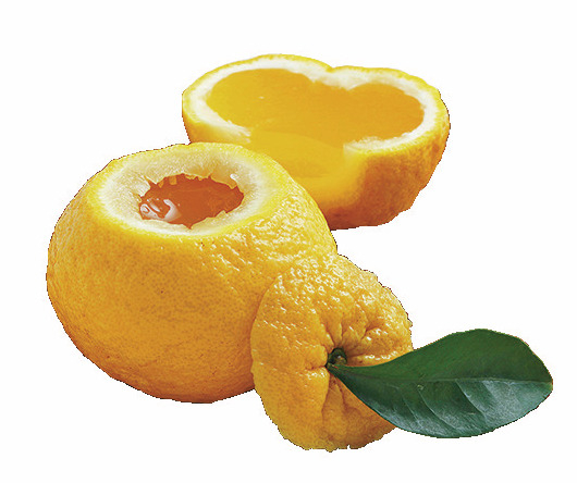 京都の生活を垣間見る その① 季節で楽しむ食の歳時記 四月