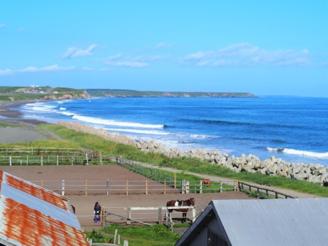 浜中の海岸で憧れの乗馬~夢は暴れん坊将軍!?