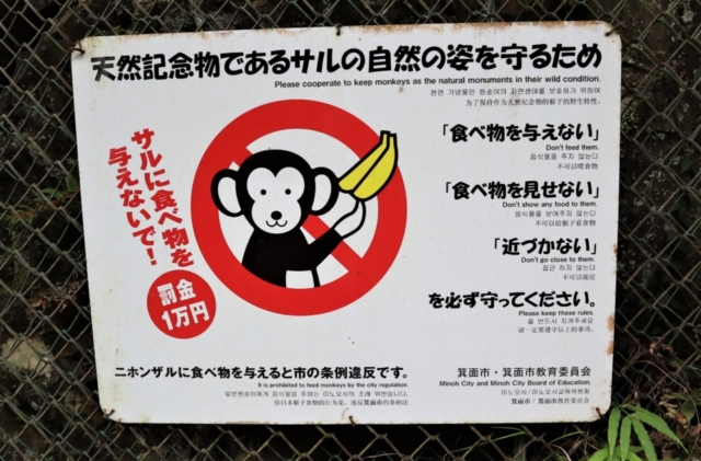 箕面の滝へ!半日お散歩プランはこんなコースです