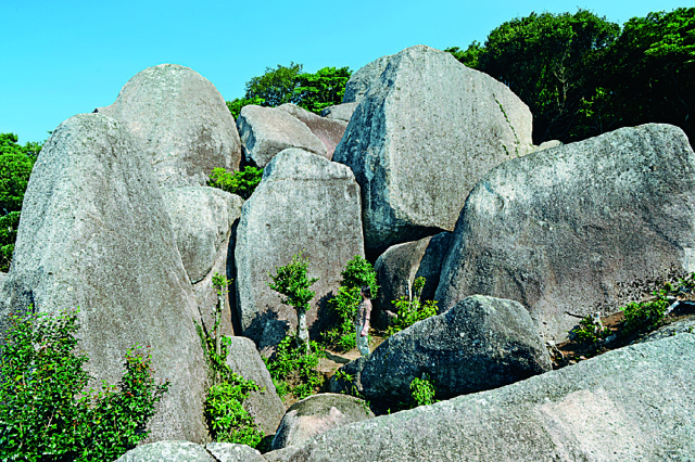 高知の絶景スポット15選⑬ 唐人駄場巨石群