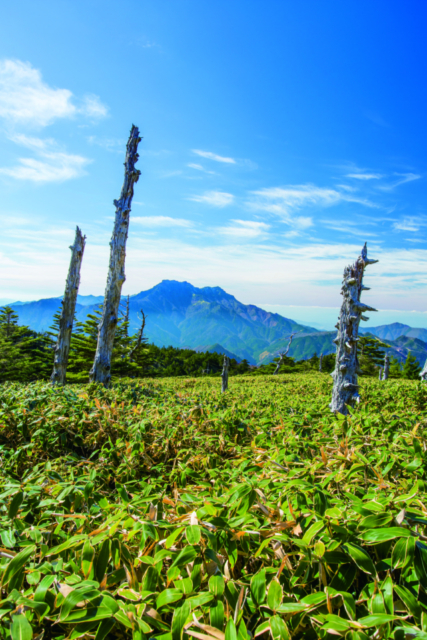 高知の絶景スポット15選⑤ UFOライン(町道瓶ヶ森線)