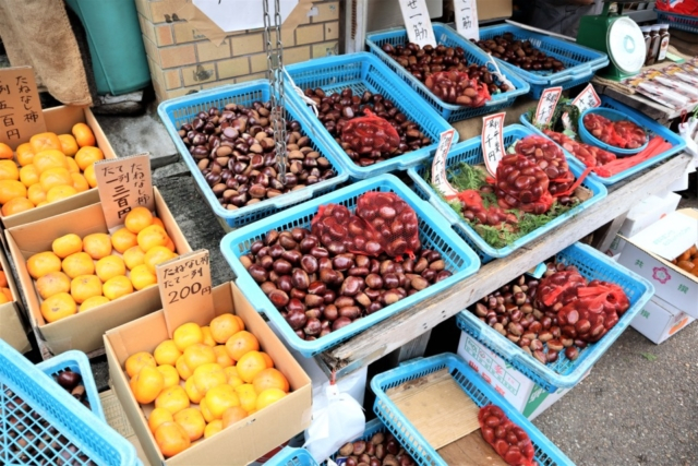 箕面のおでかけ散歩プラン③ 名物のもみじの天ぷらをパクリ