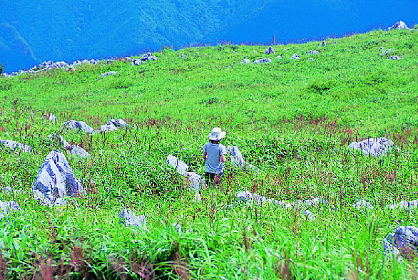 高知の絶景スポット15選⑥ 四国カルスト