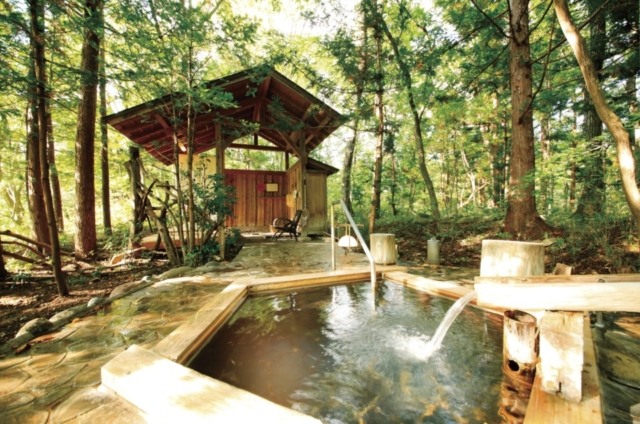 温泉山荘 だいこんの花