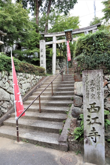 箕面のおでかけ散歩プラン④ 西江寺の気になる懸想文をチェック