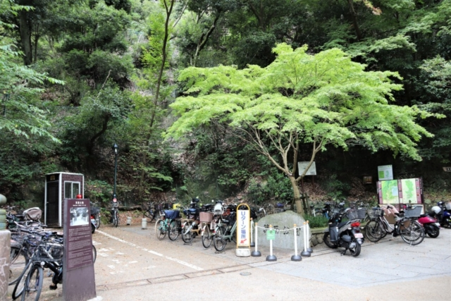 箕面のおでかけ散歩プラン⑤ 箕面昆虫館の蝶の楽園でひと休み