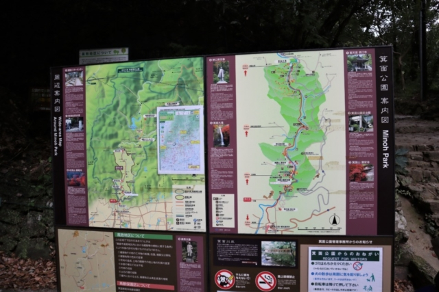 箕面のおでかけ散歩プラン⑤ 箕面昆虫館の蝶の楽園でひと休み