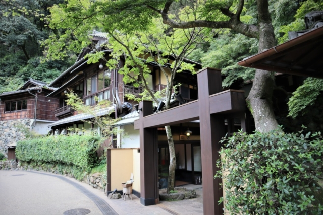 箕面のおでかけ散歩プラン⑤ 箕面昆虫館の蝶の楽園でひと休み