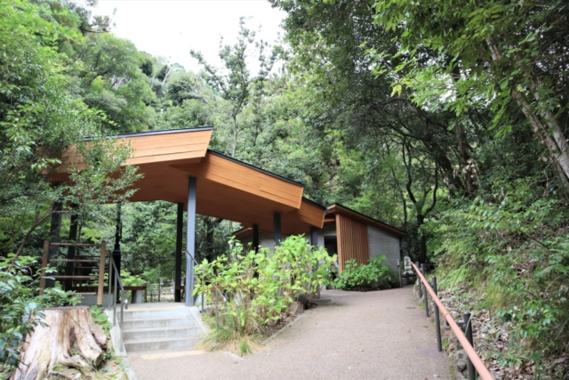 箕面のおでかけ散歩プラン⑤ 箕面昆虫館の蝶の楽園でひと休み