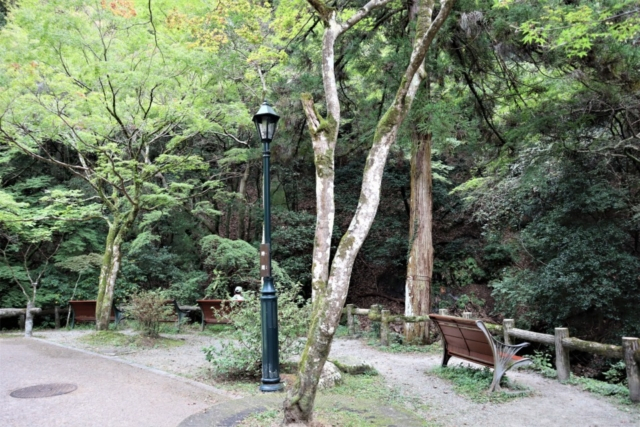 箕面のおでかけ散歩プラン⑤ 箕面昆虫館の蝶の楽園でひと休み