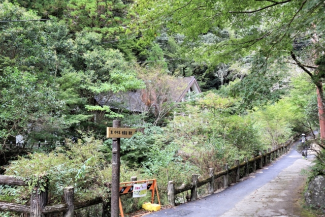 箕面のおでかけ散歩プラン⑦ 箕面大滝は有名な紅葉スポット
