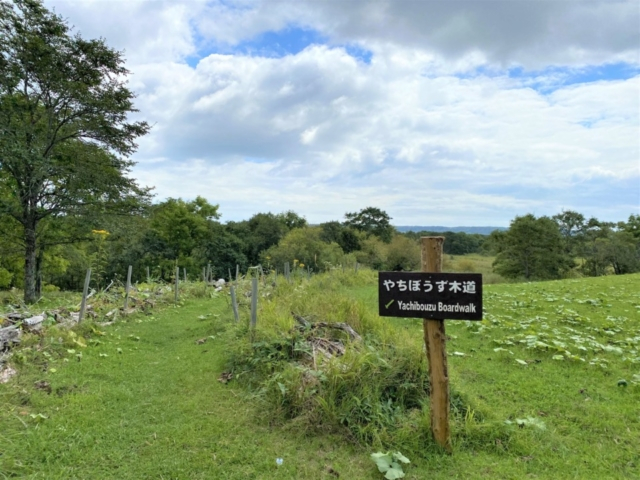 霧多布湿原木道ウォークで湿原の四季を感じる