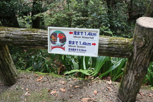 箕面のおでかけ散歩プラン⑦ 箕面大滝は有名な紅葉スポット