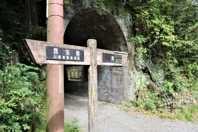 箕面のおでかけ散歩プラン⑦ 箕面大滝は有名な紅葉スポット