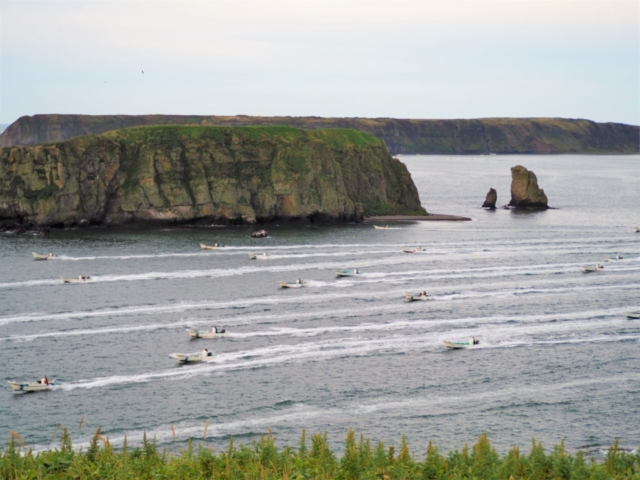 浜中アゼチ岬の絶景スポット~場所取りダッシュの昆布漁がすごい!