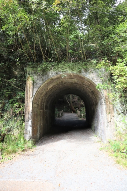 箕面のおでかけ散歩プラン⑦ 箕面大滝は有名な紅葉スポット