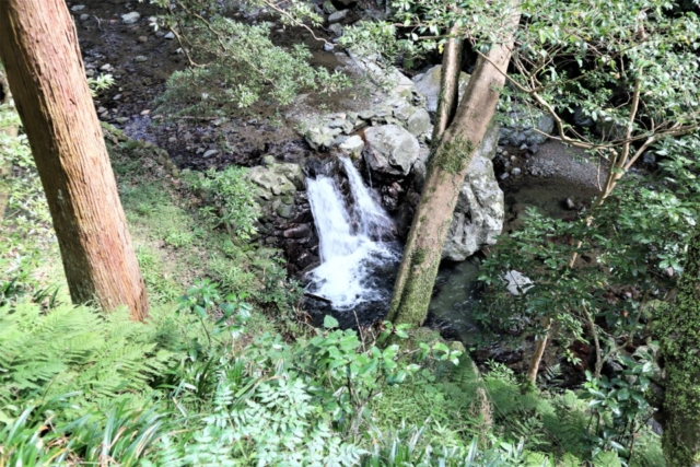 箕面のおでかけ散歩プラン⑦ 箕面大滝は有名な紅葉スポット