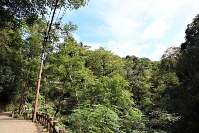 箕面のおでかけ散歩プラン⑦ 箕面大滝は有名な紅葉スポット