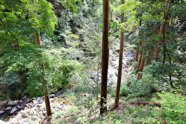 箕面のおでかけ散歩プラン⑦ 箕面大滝は有名な紅葉スポット