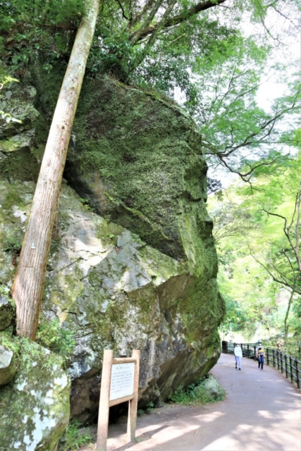 箕面のおでかけ散歩プラン⑦ 箕面大滝は有名な紅葉スポット
