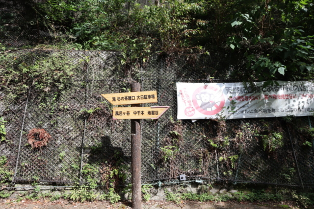 箕面のおでかけ散歩プラン⑦ 箕面大滝は有名な紅葉スポット