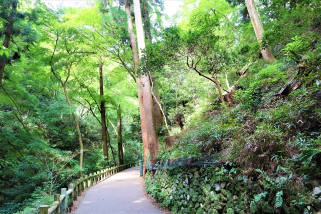 箕面のおでかけ散歩プラン⑦ 箕面大滝は有名な紅葉スポット