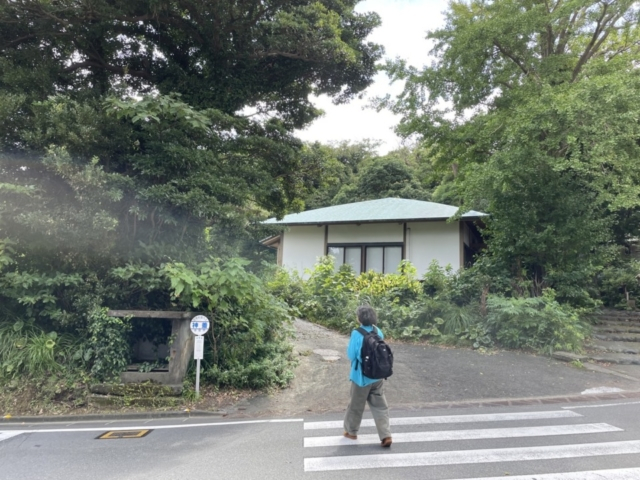 12:00 三宅島の火山がもたらす悠久の時間をひとりじめ!「七島展望台」にむけてハイキング!