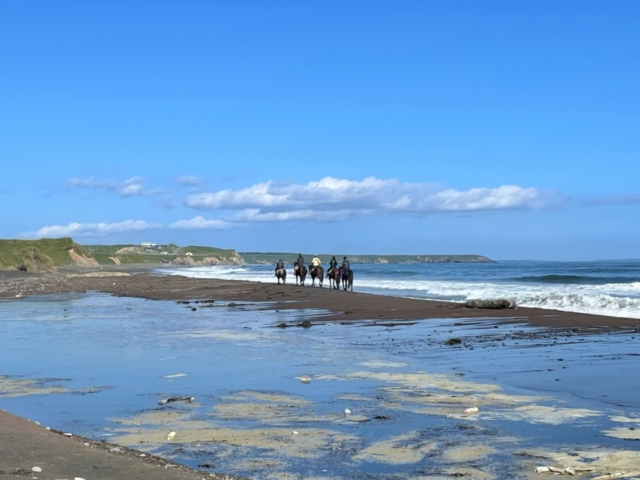 浜中の海岸で憧れの乗馬~夢は暴れん坊将軍!?