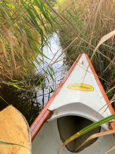 霧多布湿原でカヌー体験!静かな湿原の水鏡の上に浮かぶ!