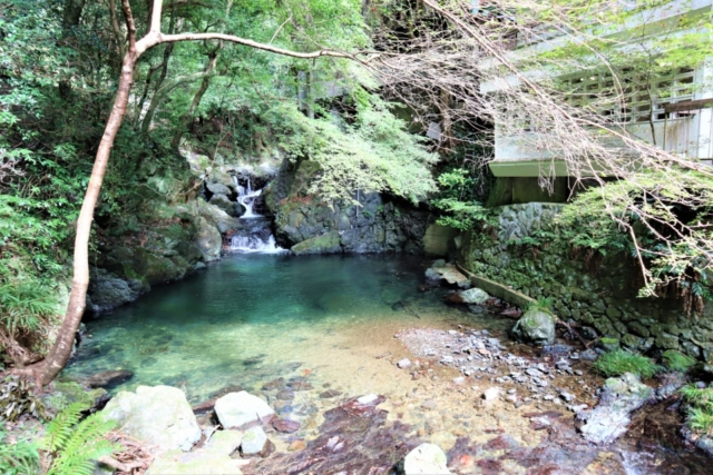 箕面のおでかけ散歩プラン⑦ 箕面大滝は有名な紅葉スポット