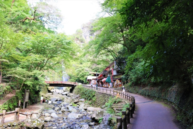 箕面のおでかけ散歩プラン⑦ 箕面大滝は有名な紅葉スポット