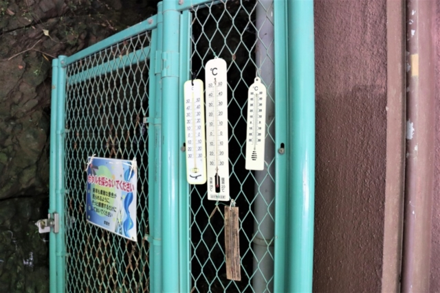 箕面のおでかけ散歩プラン⑦ 箕面大滝は有名な紅葉スポット