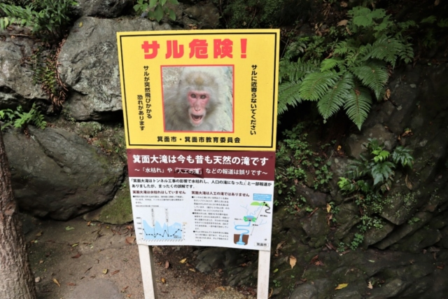 箕面のおでかけ散歩プラン⑦ 箕面大滝は有名な紅葉スポット