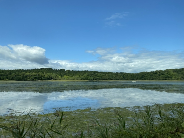 あの映画のモデルになった場所?藻散布(もちりっぷ)沼